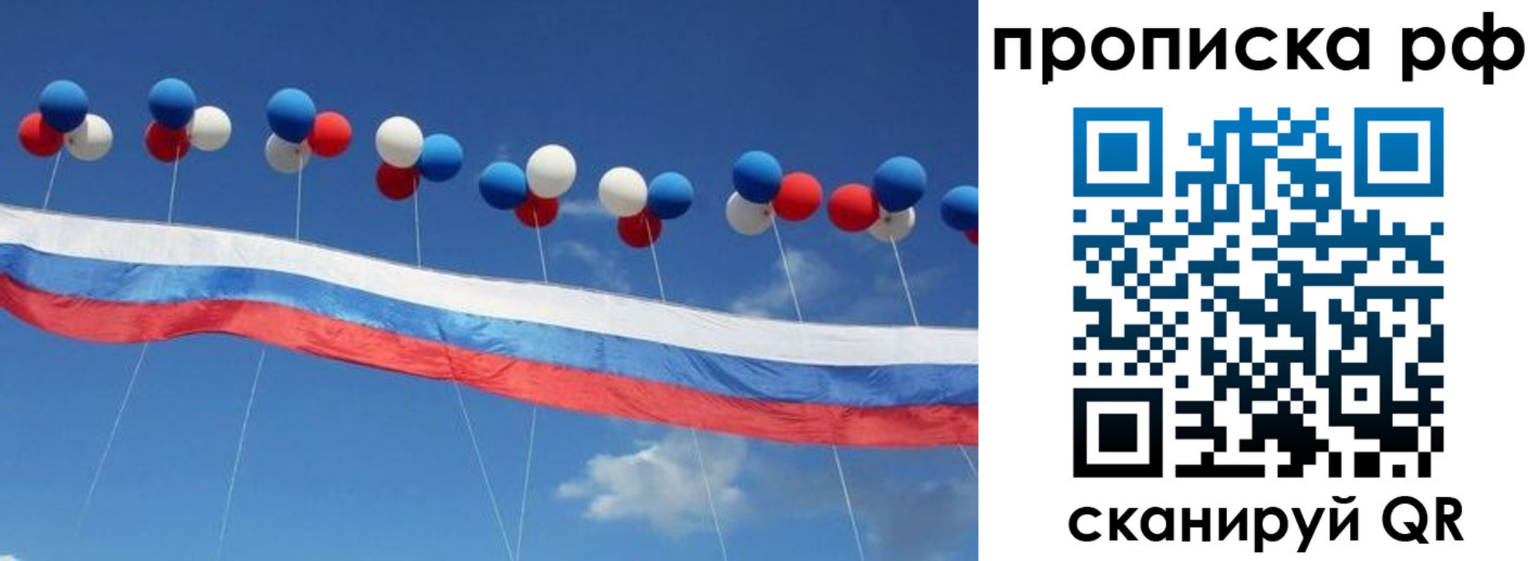 найти адрес прописки в Сафоново